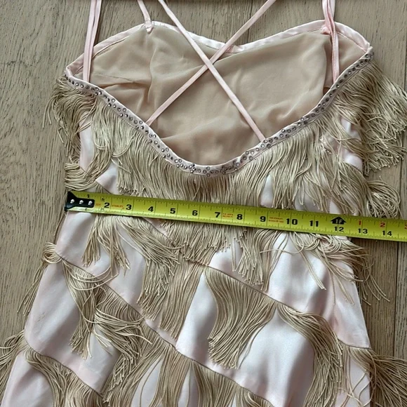 Vintage Fringe Flapper Girl Dress - Picture 9 of 14